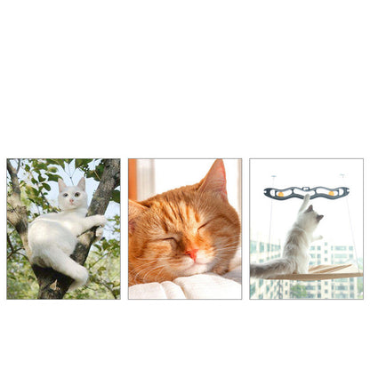 Window Hammock Your Cat Will Absolutely Love