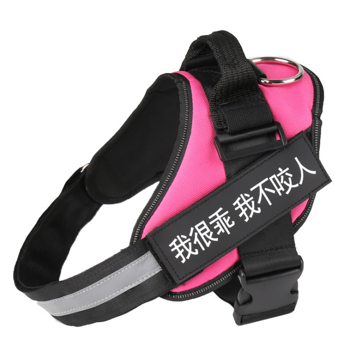 Comfortable No-Pull Harness with Your Dog’s Name