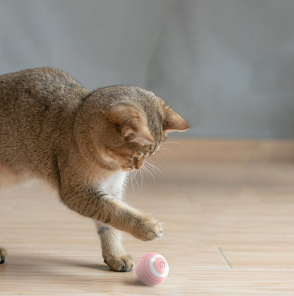Automatic Rolling Ball to Keep Your Cat Active