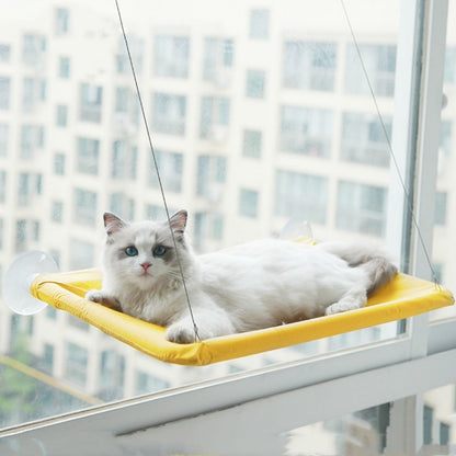 Window Hammock Your Cat Will Absolutely Love