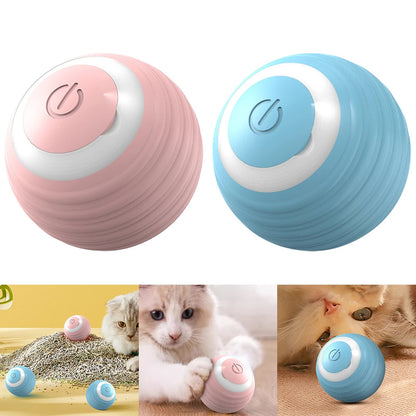 Automatic Rolling Ball to Keep Your Cat Active