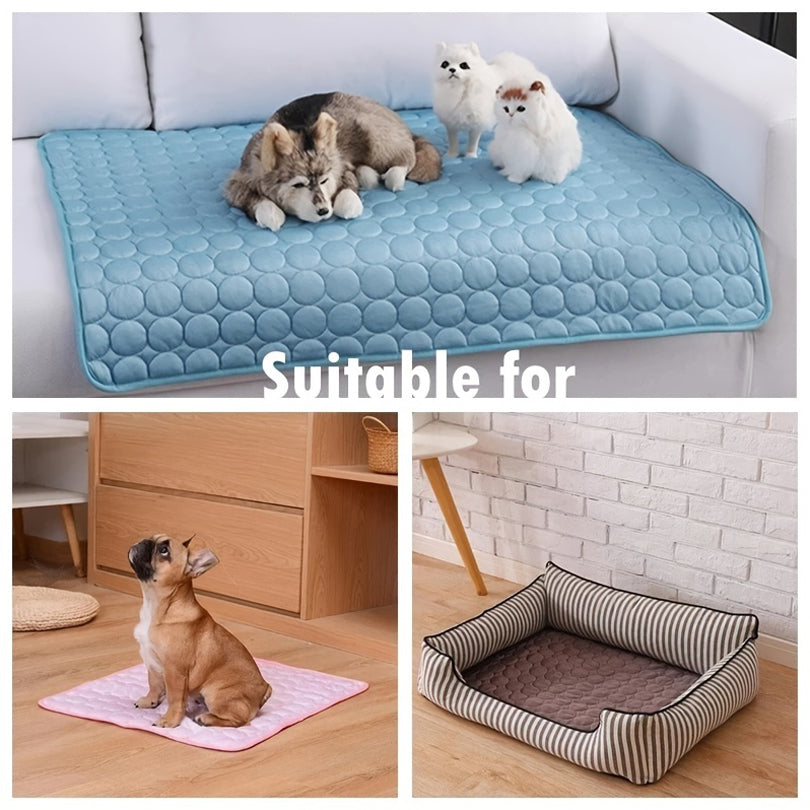 Beat the Heat with This Pet Cooling Bed