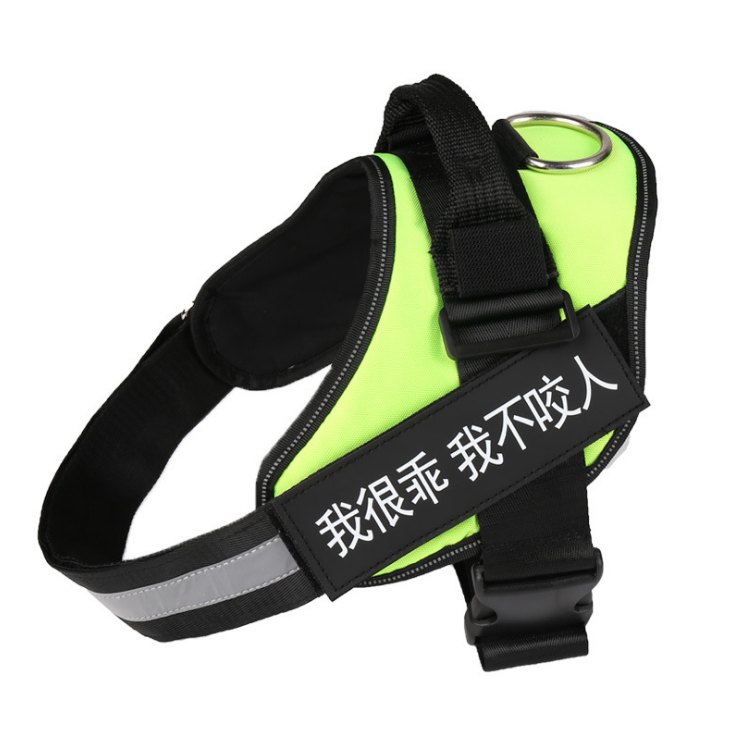 Comfortable No-Pull Harness with Your Dog’s Name