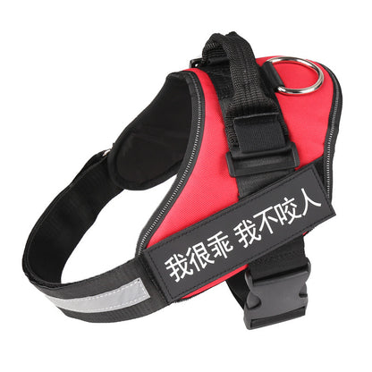 Comfortable No-Pull Harness with Your Dog’s Name