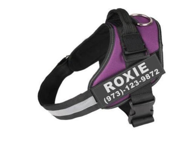 Comfortable No-Pull Harness with Your Dog’s Name