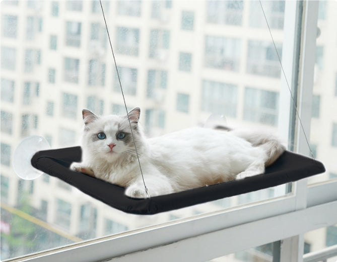 Window Hammock Your Cat Will Absolutely Love
