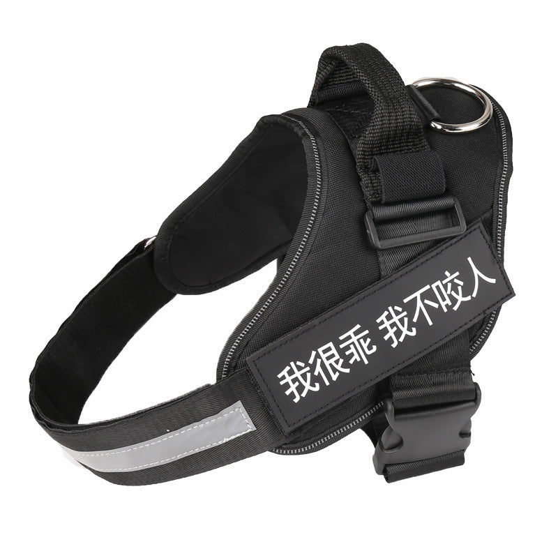 Comfortable No-Pull Harness with Your Dog’s Name