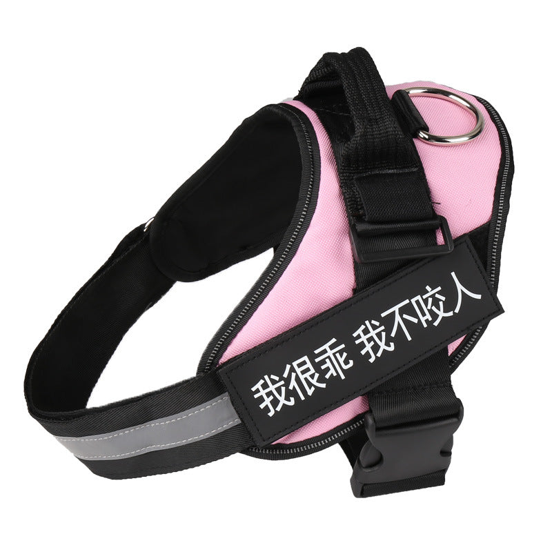 Comfortable No-Pull Harness with Your Dog’s Name